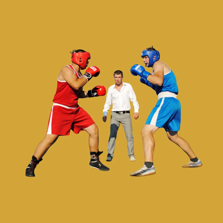 Boxing Betting betting and gaming on Reddy Anna platform