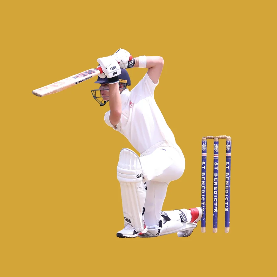 Cricket Betting betting and gaming on Reddy Anna platform