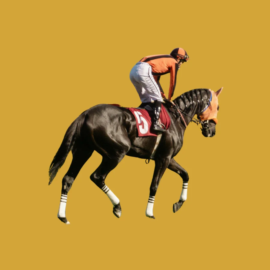 Horse Racing betting and gaming on Reddy Anna platform