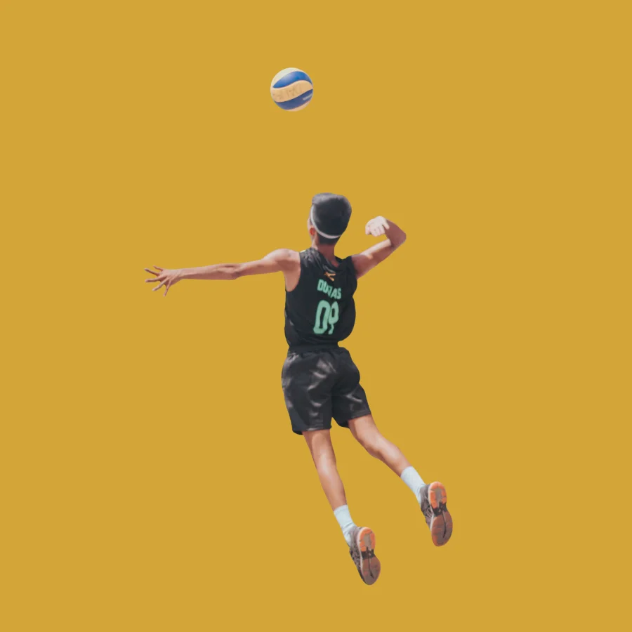 Volleyball Betting betting and gaming on Reddy Anna platform